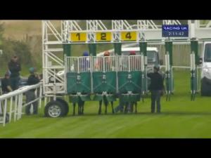 Video preview image for Salisbury 14:10 - Whitsbury Manor Stud EBF Stallions Novice Stakes