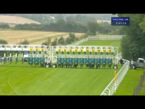 Video preview image for Salisbury 14:40 - Quality & Value At Irish Yearling Sales Nursery