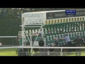 Video preview image for Haydock Park 16:40 - Betfred Duke Of Lancaster's Regiment Cup Handicap