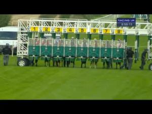 Video preview image for Salisbury 16:50 - EBF Stallions Breeding Winners 'Lochsong' Fillies' Handicap