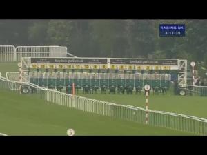 Video preview image for Haydock Park 16:10 - Betfred Jobwise Handicap