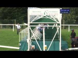 Video preview image for Ascot 14:25 - Mcgee Group EBF Stallions Maiden Stakes