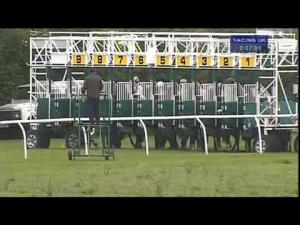 Video preview image for Thirsk 14:30 - British Stallion Studs EBF Maiden Stakes (Div 2)