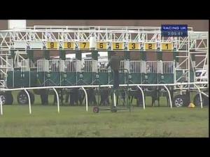 Video preview image for Thirsk 15:05 - Breeders Backing Racing EBF Maiden Fillies' Stakes