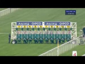 Video preview image for Ascot 16:05 - Wondering Wine Company Nursery