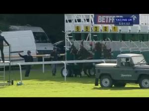 Video preview image for Haydock Park 17:00 - Betfred Fun and Friendly Stakes (Registered As The Ascendant Stakes) (Listed)