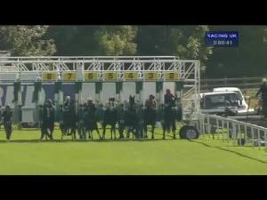 Video preview image for York 15:00 - Betfred Garrowby Stakes (Listed)