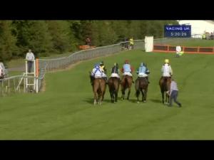 Video preview image for Perth 17:20 - Tuv-Sud Consulting Engineers Novices' Handicap Hurdle