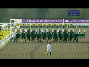 Video preview image for Kempton Park 18:15 - kempton.co.uk Nursery