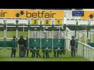 Video preview image for Chester 14:30 - Rippleffect Nursery