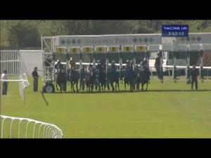 Video preview image for Sandown Park 14:50 - Sungard Handicap