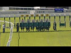 Video preview image for Sandown Park 15:25 - 21 Degrees Heating 10th Anniversary Fillies' Handicap