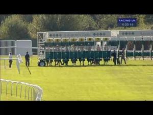 Video preview image for Sandown Park 16:30 - Twickenham Handicap