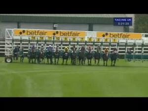 Video preview image for Chester 17:20 - Emily Ffion Trust Handicap (Gentleman Amateur Riders)