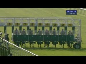 Video preview image for Thirsk 16:45 - Thirsk Racecourse For Wedding Receptions Maiden Stakes