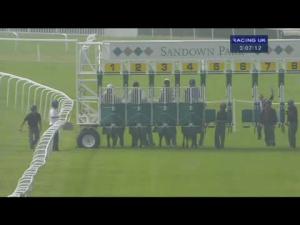 Video preview image for Sandown Park 15:05 - Max Patel Wealth Manager Of Choice Novice Stakes