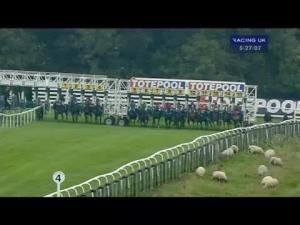Video preview image for Beverley 17:25 - Collect Totepool Winnings At Betfred Shops Maiden Stakes