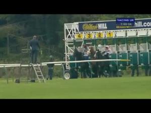 Video preview image for Ayr 13:40 - British Stallion Studs EBF Novice Stakes