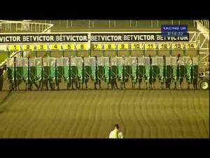 Video preview image for Kempton Park 20:10 - Follow Betvictorracing On Twitter Handicap