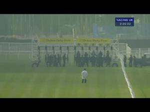 Video preview image for Newbury 14:25 - Dubai Duty Free Finest Surprise Handicap