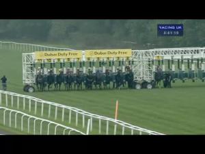 Video preview image for Newbury 16:40 - Dubai Duty Free Cup (Listed) (Str)