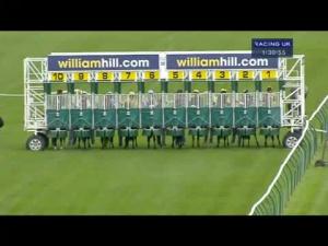 Video preview image for Ayr 13:30 - Qts Nursery