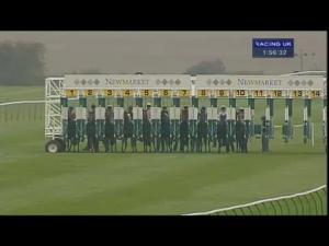 Video preview image for Newmarket 13:55 - Federation Of Bloodstock Agents 'Ebf Stallions' Maiden Fillies' Stakes (Div 1)