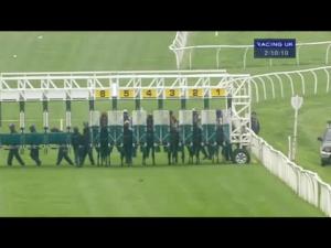 Video preview image for Catterick Bridge 14:10 - British Stallion Studs EBF Maiden Stakes