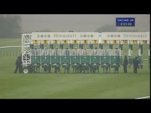 Video preview image for Newmarket 14:30 - Federation Of Bloodstock Agents 'Ebf Stallions' Maiden Fillies' Stakes (Div 2)