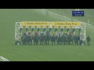 Video preview image for Newbury 15:30 - Dubai International Airport World Trophy (Group 3)
