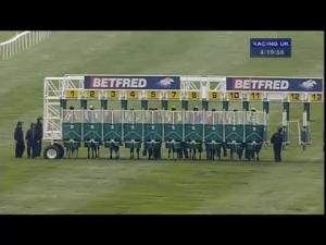 Video preview image for Newmarket 16:15 - Betfred Supporting The Ijf Cesarewitch Trial Stakes (Handicap)