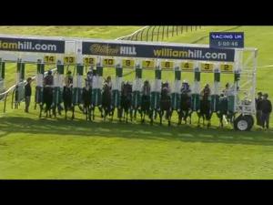 Video preview image for Ayr 17:00 - Microtech Support Handicap