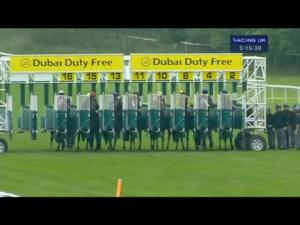 Video preview image for Newbury 17:15 - Heatherwold Stud Handicap (Str)