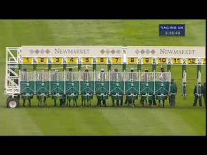 Video preview image for Newmarket 17:25 - Thoroughbred Breeders' Association EBF Stallions Fillies' Handicap