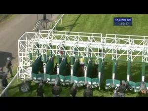 Video preview image for Hamilton Park 13:50 - British Stallion Studs EBF Maiden Stakes