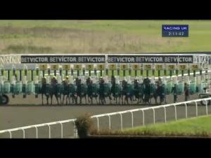 Video preview image for Kempton Park 14:10 - betvictor.com/british Stallion Studs EBF Maiden Stakes