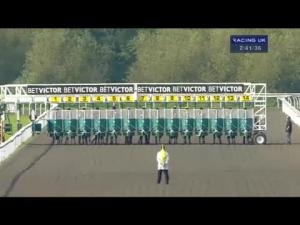 Video preview image for Kempton Park 14:40 - Competitive Day Delegate Rates Maiden Stakes (Div 1)