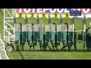 Video preview image for Hamilton Park 14:50 - Totequadpot Four Places In Four Races Handicap