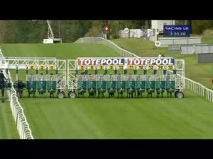 Video preview image for Hamilton Park 15:20 - Toteexacta Pick The 1, 2 Handicap