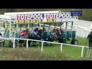 Video preview image for Hamilton Park 16:20 - Totetrifecta Pick The 1, 2, 3 Maiden Stakes