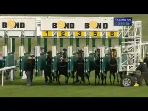 Video preview image for Beverley 14:40 - Beverley Annual Badgeholders Selling Stakes