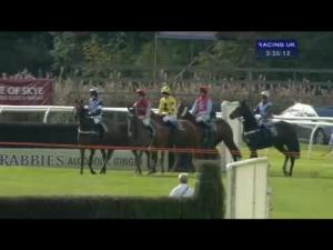 Video preview image for Perth 15:35 - Morris Leslie Group Handicap Chase