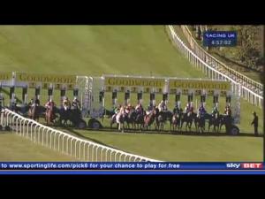 Video preview image for Goodwood 16:55 - Bidvest 3663 Handicap