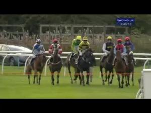 Video preview image for Perth 17:45 - Stay In Scone Palace For Perth Races Handicap Hurdle