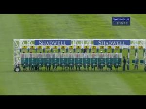 Video preview image for Newmarket 14:10 - Princess Royal EBF Sakhee Stakes (Formerly The Harvest Stakes) (Fillies' Listed)
