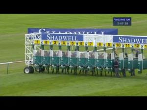 Video preview image for Newmarket 14:40 - Shadwell Rockfel Stakes (Fillies' Group 2)