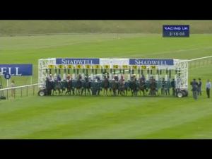 Video preview image for Newmarket 15:15 - Shadwell Joel Stakes (British Champions Series) (Group 2)