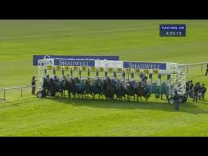 Video preview image for Newmarket 16:25 - Derrinstown EBF Stallions Maiden Stakes