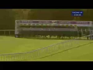 Video preview image for Haydock Park 17:20 - Betdaq Haydock Apprentice Training Series Final Handicap