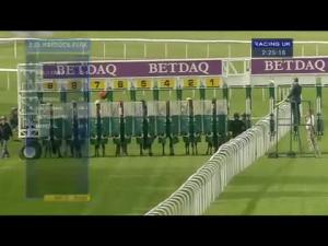 Video preview image for Haydock Park 14:25 - British Stallion Studs EBF Maiden Fillies' Stakes